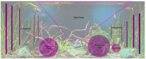 Aquascape layout with diagrammatic lines for perspective.
